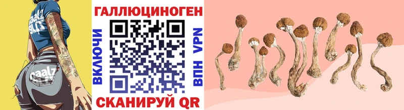 Купить закладки  Подпорожье  Псилоцибиновые грибы ЛСД 
